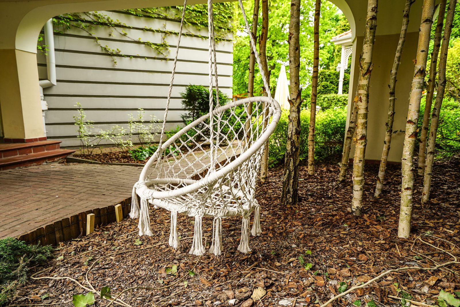 Garden swing among birch trees